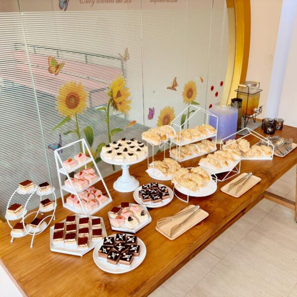 Cáo Study & Work Shop