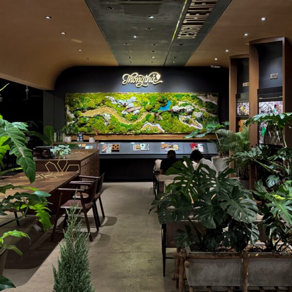 Thong Thả Cà Phê