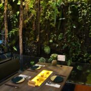 Forest Therapy Kitchen