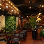 Golden Bird’s Coffee & Party
