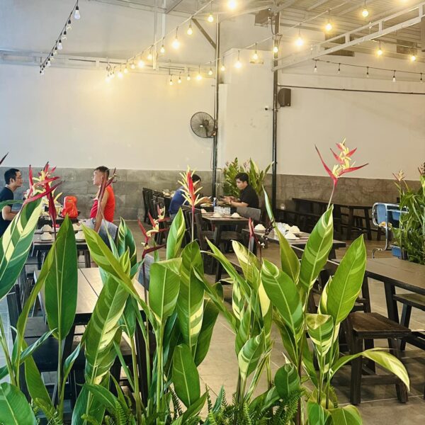 Thế Giới Ốc - 5Ku Hoàng Sa