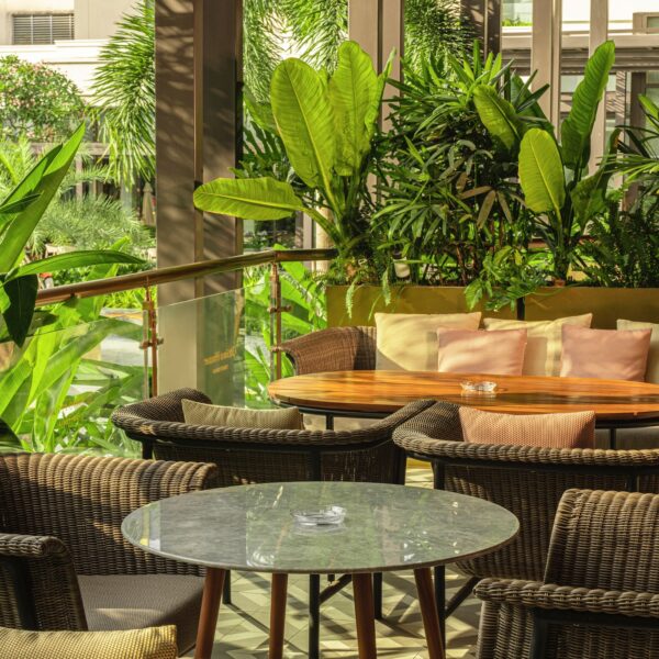 Ottimo House Trattoria