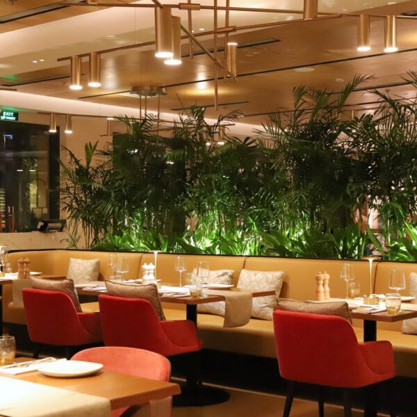 Ottimo House Trattoria